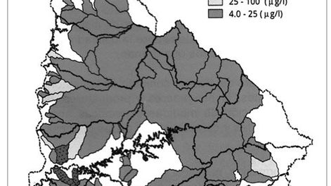imagen de Los resultados preliminares del primer mapa de calidad del agua en Uruguay muestran la necesidad de encarar acciones “a corto plazo”