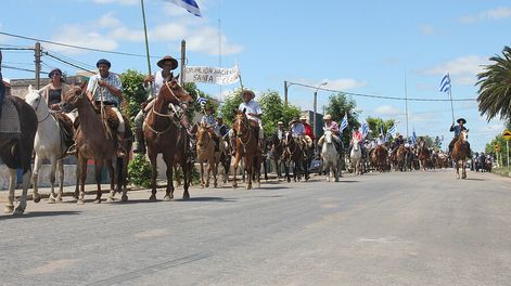 imagen de Cerro Chato tendrá “problemas ambientales significativos” en 2030, “fuertemente acentuados” si existe minería y forestación