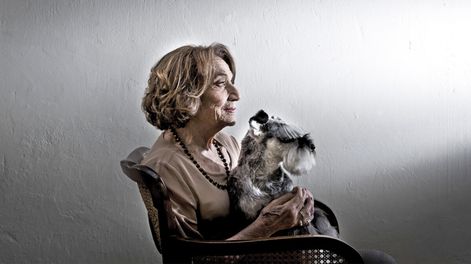 Búsqueda | Foto: Adrián Echeverriaga