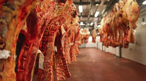 imagen de Identifican limitantes para acceso de productores familiares a compras 	estatales de alimentos, que comprenden unos U$S 50 millones anuales