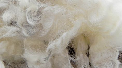 En los primeros 10 meses de 2025 se van exportando cerca de 35 millones de kilos de lana desde Uruguay.