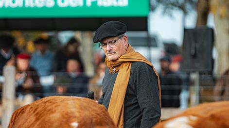 Leyenda: El jurado Santiago Bordaberry durante las calificaciones de la Expo Nacional Hereford en Rivera.