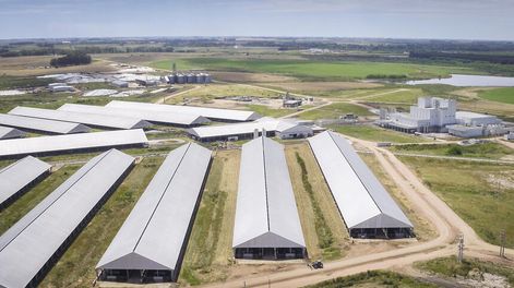 imagen de El megatambo de Bulgheroni apuesta a la máxima productividad y a las exportaciones para sortear la crisis de la lechería