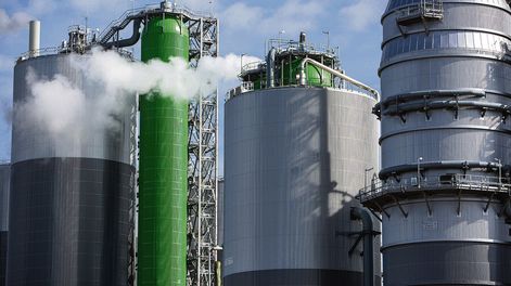 Planta UPM 2 en la localidad de Pueblo Centenario. Foto: Mauricio Zina, adhocFOTOS