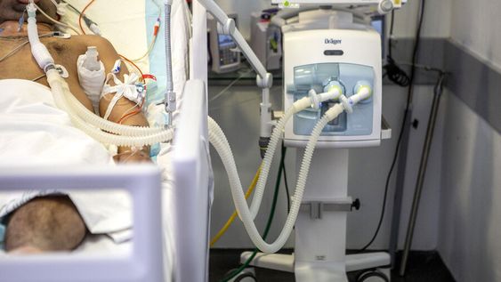 El proyecto de eutanasia tiene un nuevo intento en esta legislatura El proyecto de eutanasia tiene un nuevo intento en esta legislatura