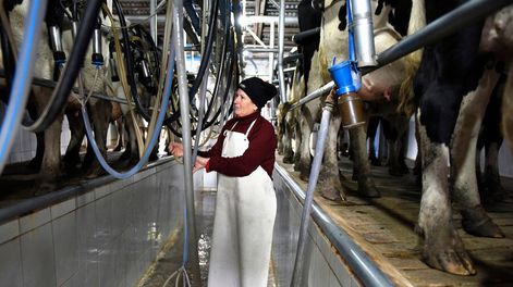 Foto: Nicolás Celaya / adhocFOTOS