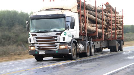 imagen de Casi 70% de la madera para celulosa transita grandes distancias porque las empresas pasteras “están lejos” de la masa forestal