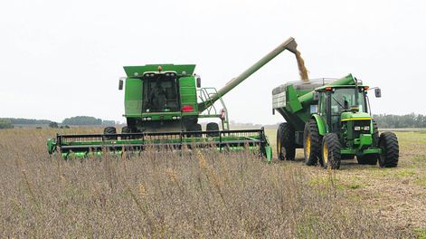 Los productores argentinos vinieron a Uruguay para la cosecha de soja, que coincidió con el inicio de la emergencia sanitaria por el coronavirus. Foto: Nicolás