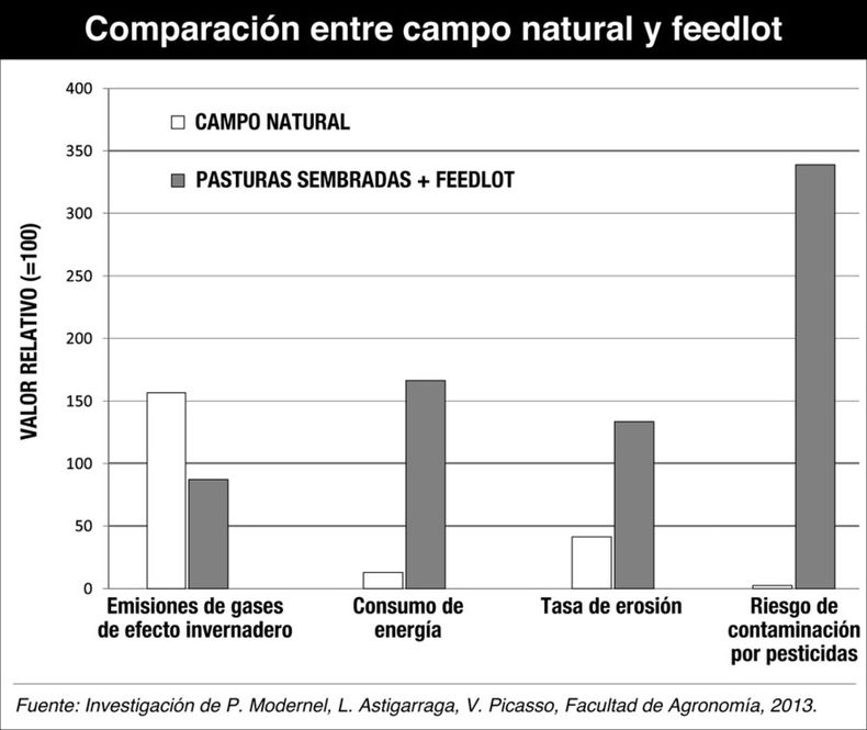 imagen de Investigación revela los impactos ambientales de la producción en  feedlots y destaca las ventajas ecológicas del campo natural