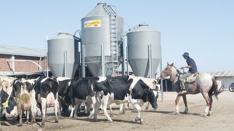 El 54% de los empresas del agro prevé aumentar su producción el próximo año