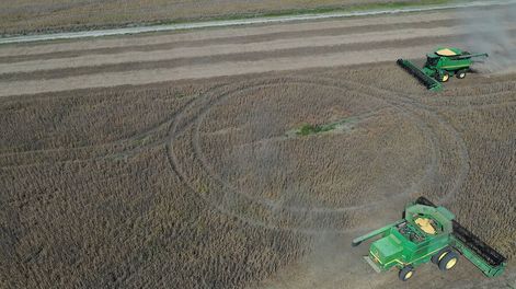 Cosecha de soja en Florida. Foto: Pablo La Rosa / adhocFOTOS