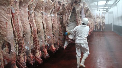 Se hace cuesta arriba la exportación de carne uruguaya, por mayores normas ambientales y de bienestar animal. Foto: Nicolás Der Agopián