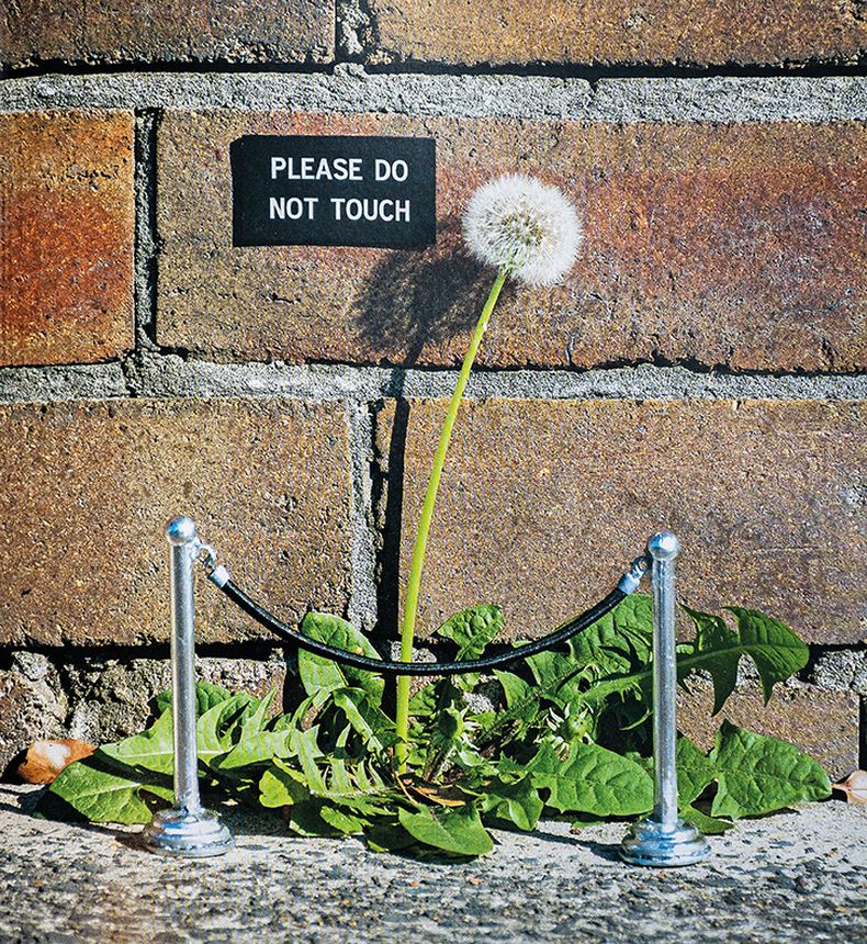Please Do Not Touch, de Michael Pederson. Sídney, Australia, 2018