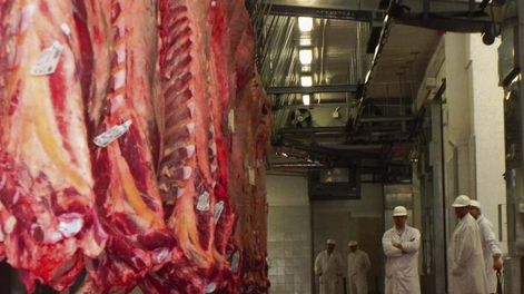 La faena de este año se ubicará en unos 2,2 millones de vacunos. Foto: Agro de Búsqueda