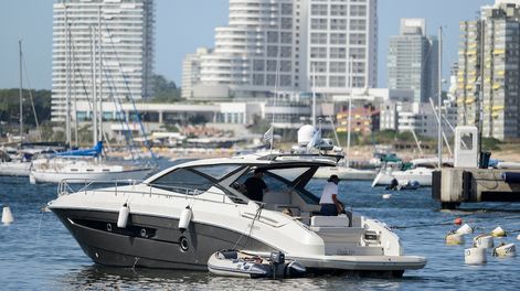 Búsqueda | Punta del Este