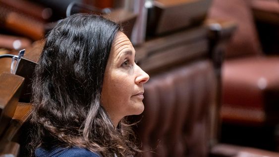 Diputada Nicolle Salle.