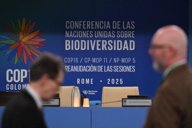 Los delegados llegan a la sala plenaria para asistir a la conferencia sobre biodiversidad COP16 en la sede de la FAO en Roma, el 25 de febrero de 2025.