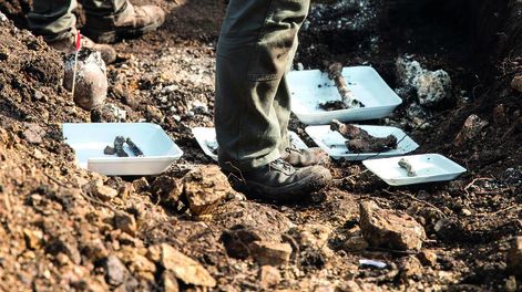 Restos óseos en el batallón 14. Foto: Sofía Torres