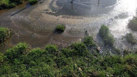 Para denunciar la contaminación del agua en Tacuarembó, vecinos presentaron fotos a la Dinama