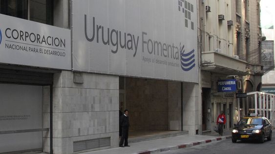 imagen de La Corporación para el Desarrollo incrementó sus ganancias año tras año imagen de La Corporación para el Desarrollo incrementó sus ganancias año tras año