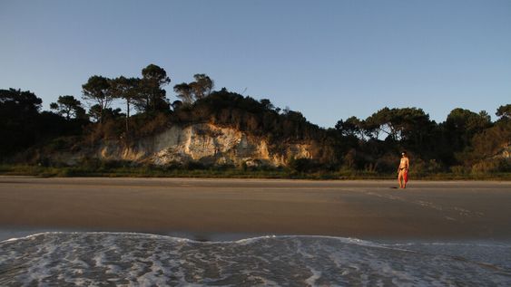 “La gente quiere tener las casas cada vez más cerca de las playas” y eso agrava el deterioro del ecosistema, dice la especialista Mónica Gómez. Foto: NDA