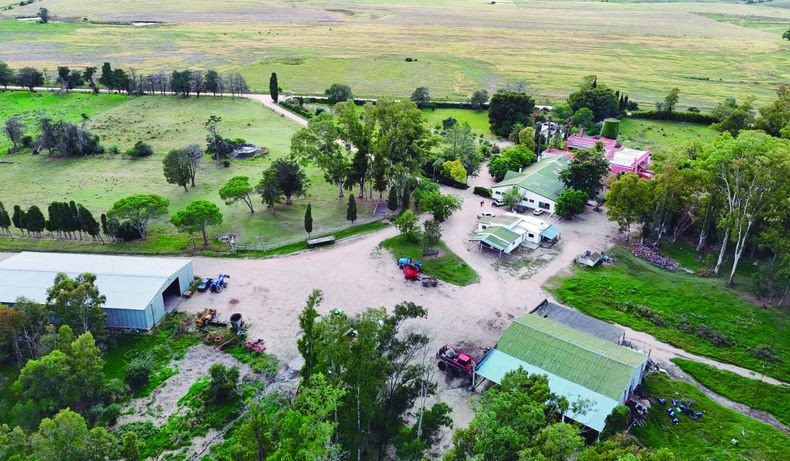 El INC plantea generar alternativas viables para las instalaciones principales del casco y la superficie ocupada por olivos, que abarcan 160 hectáreas.