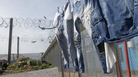 Búsqueda | Las acusaciones presentadas por más de una decena de funcionarios incluyen maltrato e insultos, acoso laboral a los funcionarios y situaciones de acoso sexual.