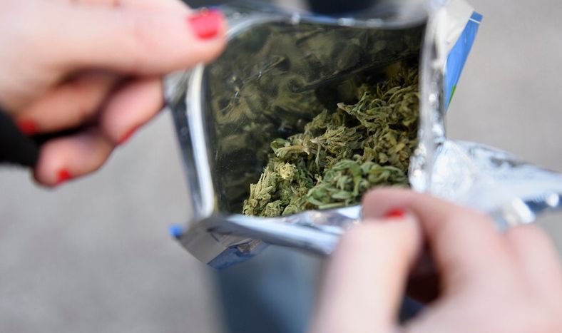 imagen de Gobierno prepara un proyecto de ley para financiar investigaciones sobre cannabis con dinero producido por la venta de marihuana