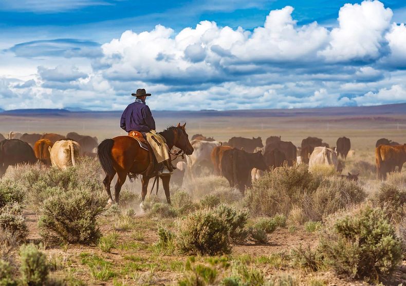 La escasez de carne en Estados Unidos, y el alto precio que ya es récord, pueden ir más arriba