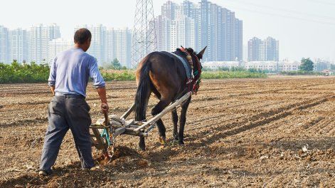 Los pesimistas dicen que, en lo que respecta a la IA, no somos los conductores que perdieron terreno ante el auge de los automóviles; somos los caballos.