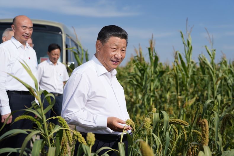 El presidente Xi Jinping se propone que China se convierta en una potencia agrícola a mediados de este siglo