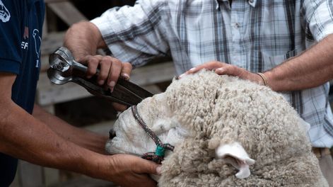 Foto: Ricardo Antúnez / adhocFOTOS