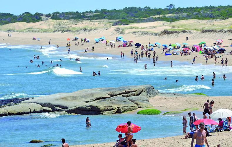 imagen de Bacteria que causó muerte está hace años en aguas uruguayas,  pero estudios en pescado han sido negativos, según Dinara
