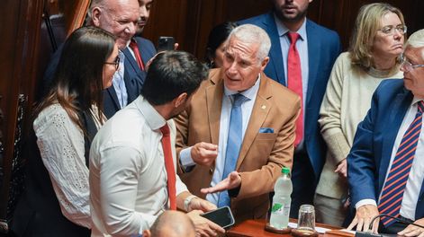 Ministro Carlos Negro durante la interpelación en el Senado, el jueves 9 Ministro Carlos Negro durante la interpelación en el Senado, el jueves 9
