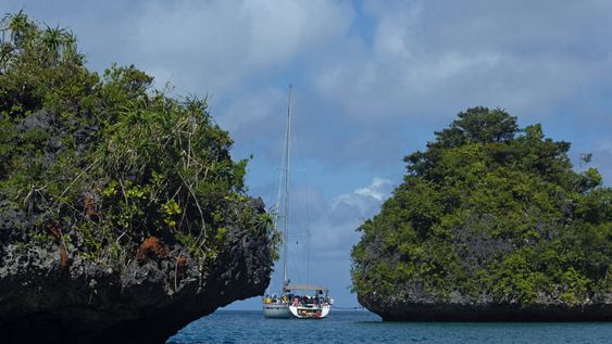 imagen de Crónicas de Calíope, la aventura de navegar dos océanos de un solo tirón y conocer el mundo