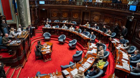 El Senado, durante el tratamiento este miércoles del proyecto de ley de la Caja de Jubilaciones y Pensiones de Profesionales Universitarios