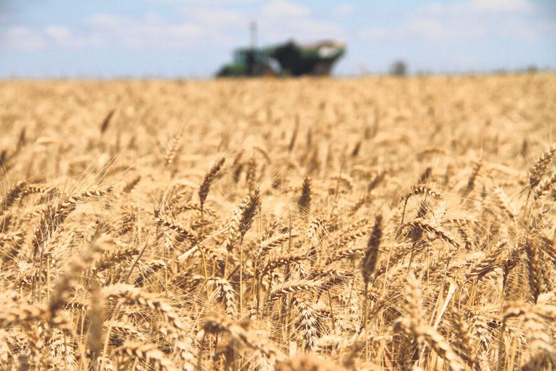 Los precios de los commodities caerán 3% este año y seguirán a la baja hasta el 2026 según el Banco Mundial