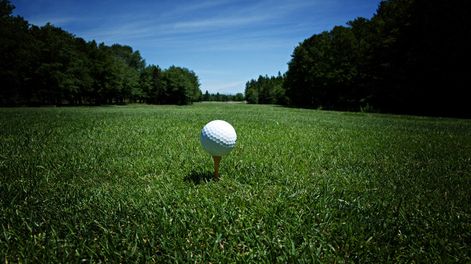 imagen de Campeones en La Tahona