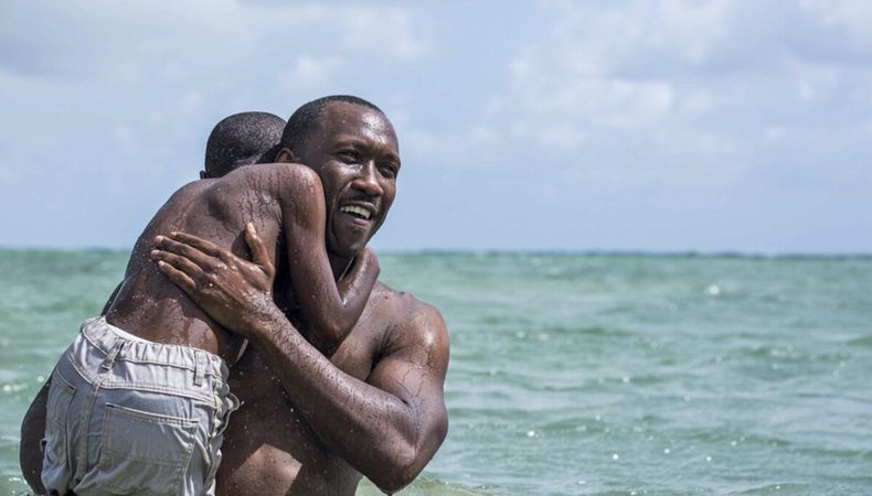 Moonlight fue el primer filme co-producido por A24 y terminó llevándose el Oscar a Mejor película.