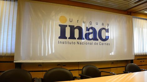 Instituto Nacional de Carnes.