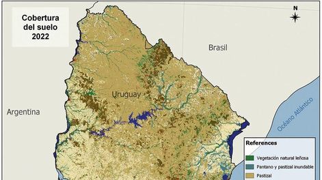 imagen de En cuatro décadas Uruguay perdió 2,5 millones de hectáreas de pastizales naturales