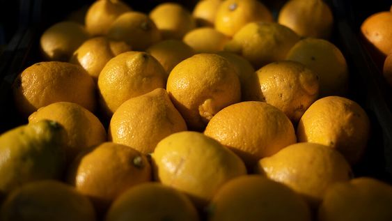 Foto: Pablo Vignali / adhocFOTOS Foto: Pablo Vignali / adhocFOTOS