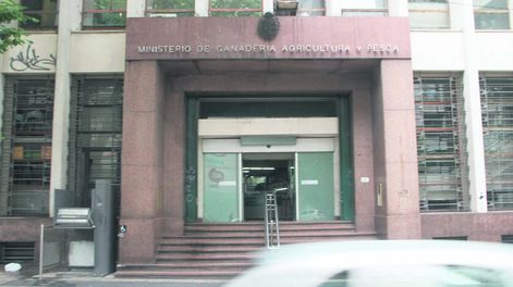 el clorpirifós no podrá utilizarse en los cultivos de arándano, cebolla, ciruela, durazno, girasol, limón, mandarina, clementina, manzana, pera, pomelo, sorgo y tomate