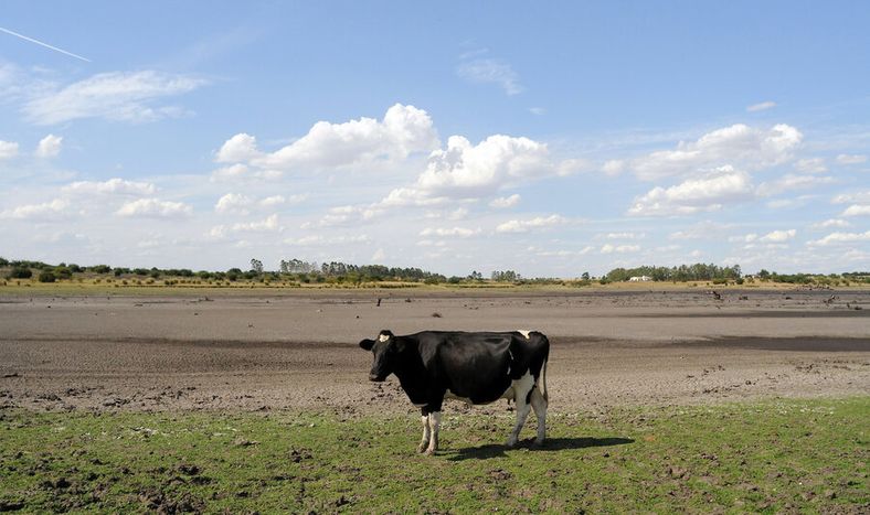Foto: Ricardo Antúnez / adhocFOTOS