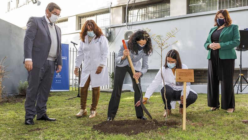 Presidente de ASSE Leonardo Cipriani, directora del Hospital de la Mujer Risel Suárez, ministra de Economía Azucena Arbeleche, directora general del Hospital Pereira Rossell Victoria Lafluf y embajadora británica Faye O’ Connor en plena plantación