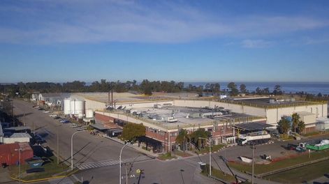 imagen de Zonas francas uruguayas buscan posicionarse como hub del ecommerce en la región