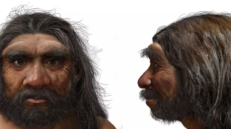 Búsqueda | evolucion-humana