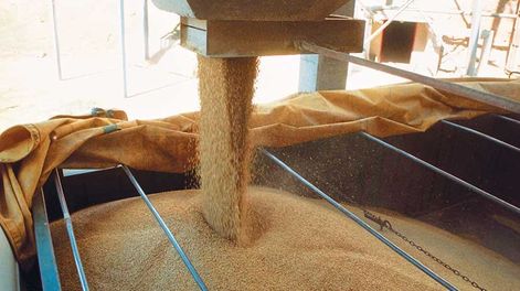 Foto: Nicolás Der Agopián / Búsqueda