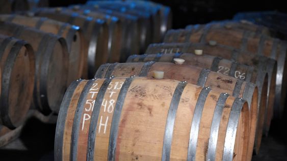 Establecimiento Juanicó Establecimiento Juanicó