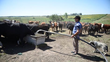 Foto: Daniel Rodriguez / adhocFOTOS